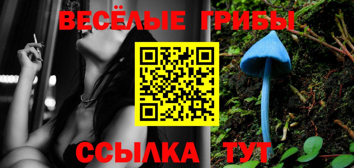 Псилоцибиновые грибы мухоморы Выборг