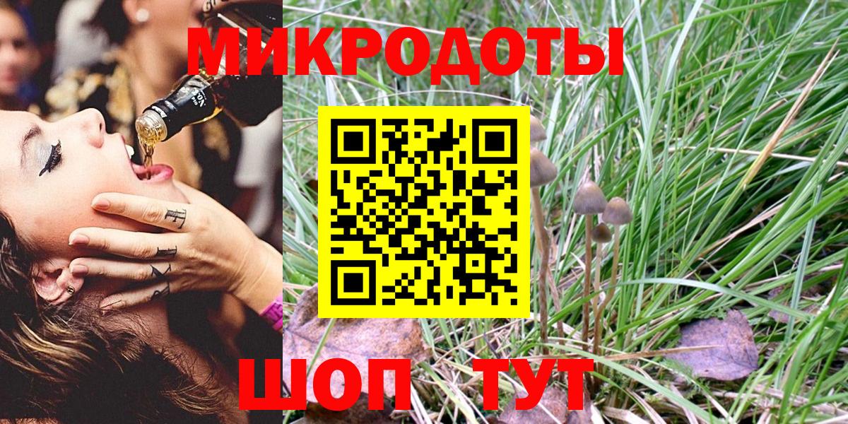 Галлюциногенные грибы Psilocybe  Вход с VPN  цены наркотик  Выборг 