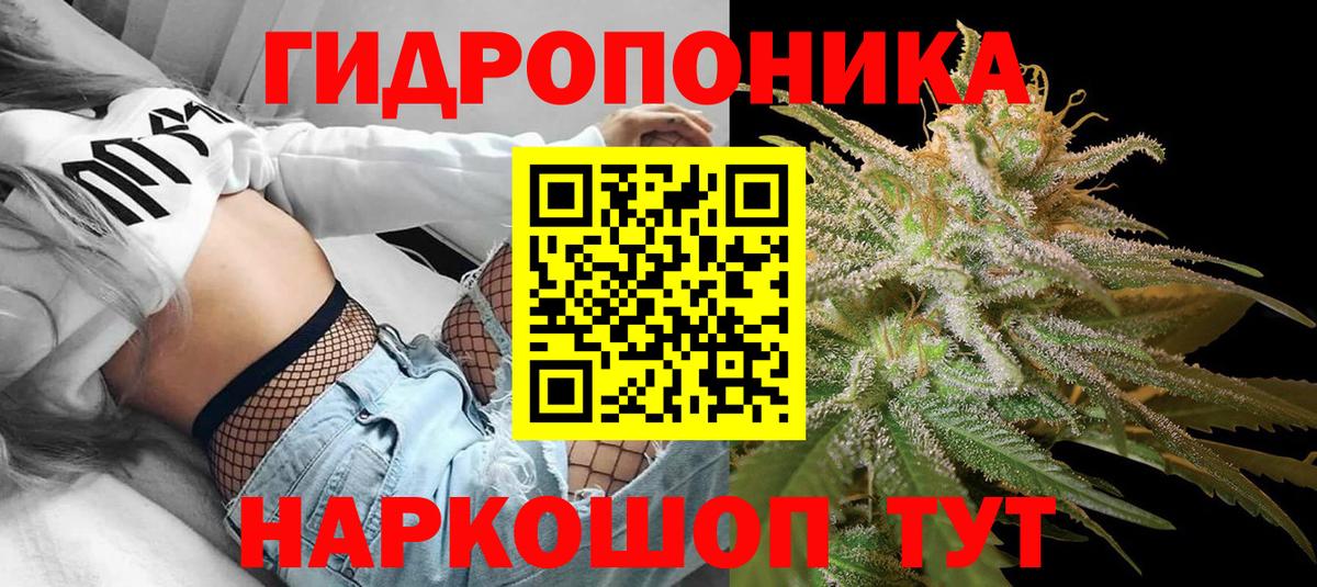 Бошки марихуана Bruce Banner  Шишки марихуана план  Бошки марихуана White Widow  Вход с VPN  Шишки марихуана планчик  Выборг 